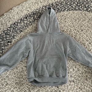 Aritzia cropped grey perfect hoody.